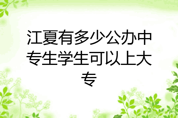 江夏有多少公办中专生学生可以上大专