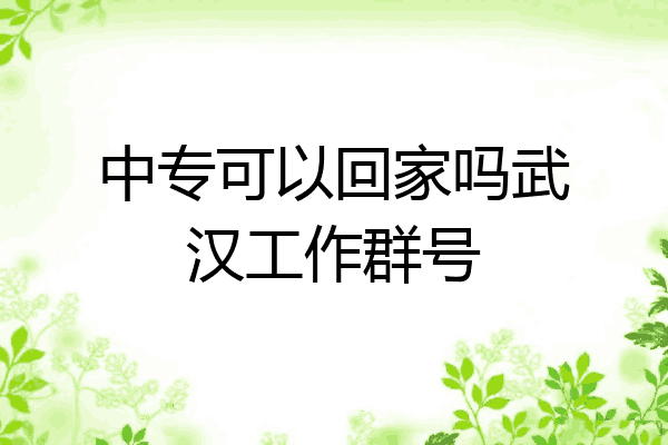 中专可以回家吗武汉工作群号
