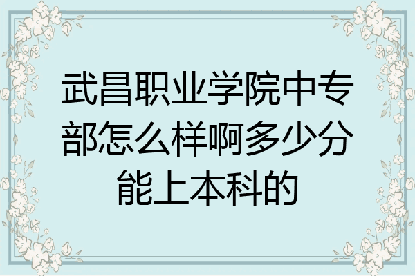 武昌职业学院中专部怎么样啊多少分能上本科的