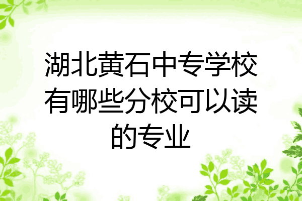湖北黄石中专学校有哪些分校可以读的专业