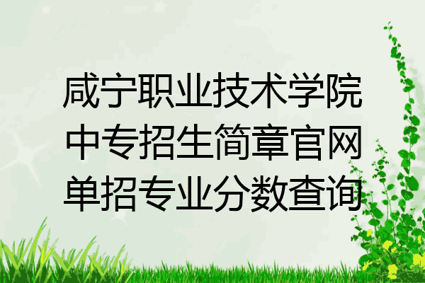 咸宁职业技术学院中专招生简章官网单招专业分数查询