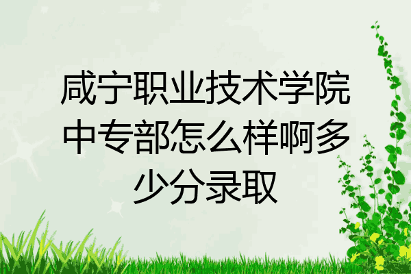 咸宁职业技术学院中专部怎么样啊多少分录取