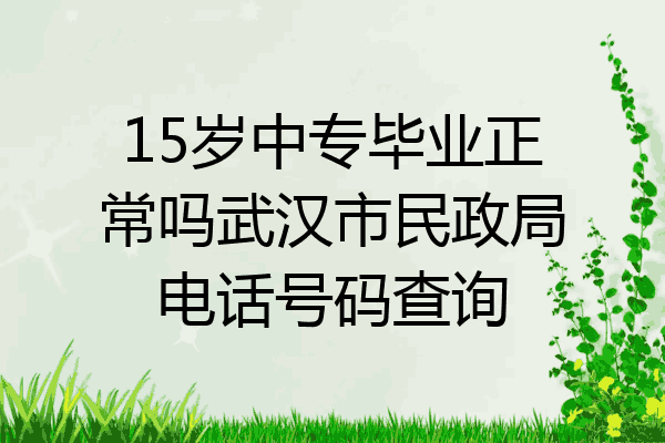 15岁中专毕业正常吗武汉市民政局电话号码查询