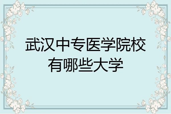 武汉中专医学院校有哪些大学