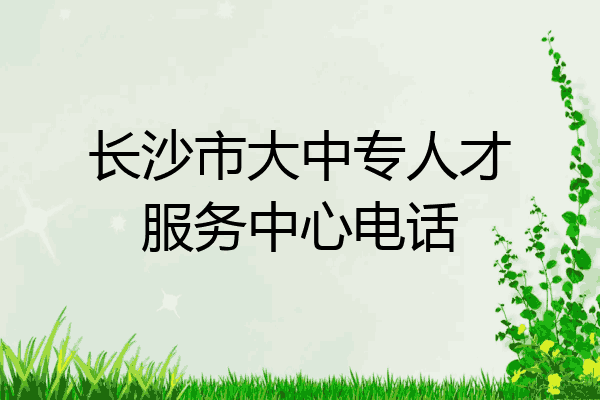 长沙市大中专人才服务中心电话