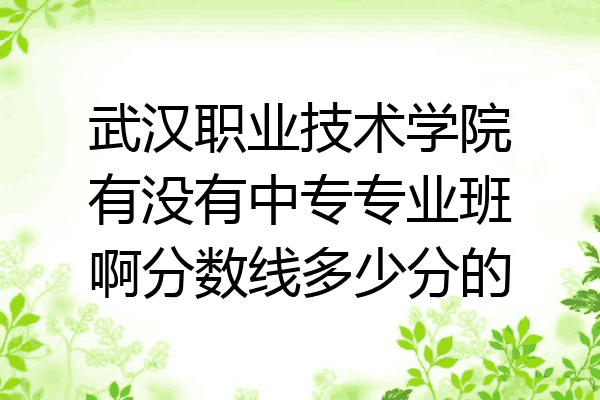 武汉职业技术学院有没有中专专业班啊分数线多少分的