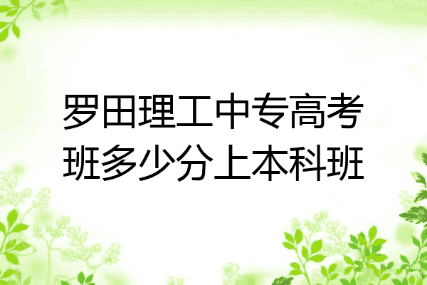 罗田理工中专高考班多少分上本科班