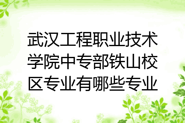 武汉工程职业技术学院中专部铁山校区专业有哪些专业