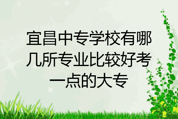 宜昌中专学校有哪几所专业比较好考一点的大专