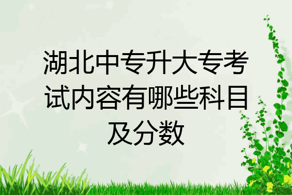 湖北中专升大专考试内容有哪些科目及分数