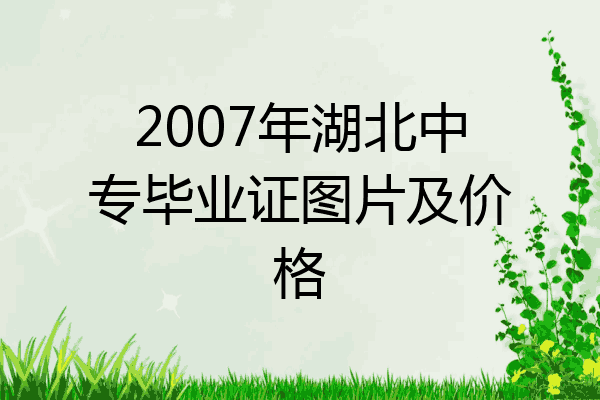 2007年湖北中专毕业证图片及价格