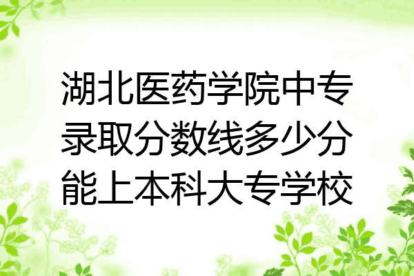 湖北医药学院中专录取分数线多少分能上本科大专学校