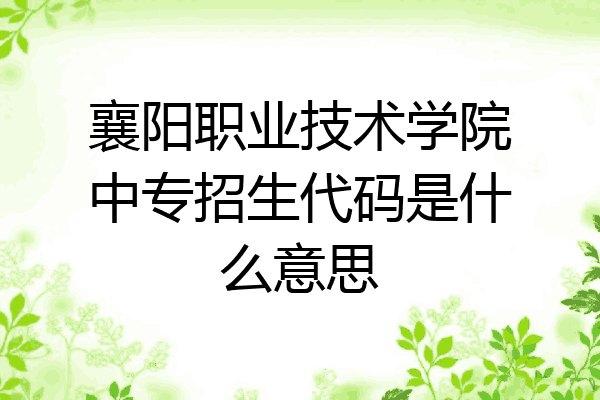 襄阳职业技术学院中专招生代码是什么意思