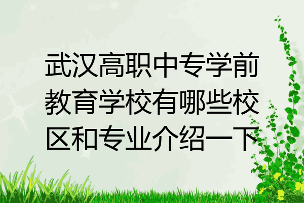 武汉高职中专学前教育学校有哪些校区和专业介绍一下
