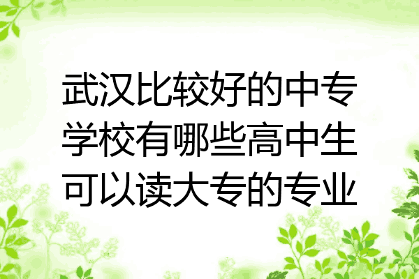 武汉比较好的中专学校有哪些高中生可以读大专的专业