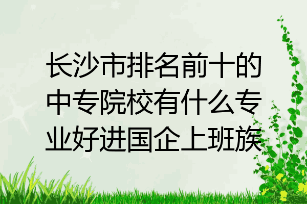 长沙市排名前十的中专院校有什么专业好进国企上班族