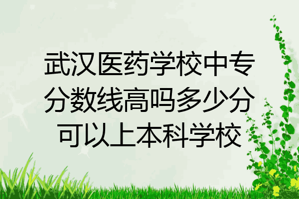 武汉医药学校中专分数线高吗多少分可以上本科学校