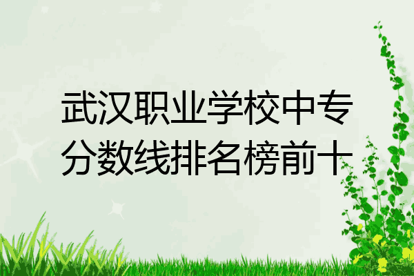 武汉职业学校中专分数线排名榜前十