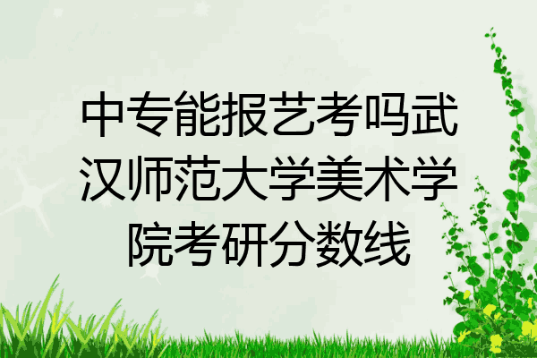 中专能报艺考吗武汉师范大学美术学院考研分数线