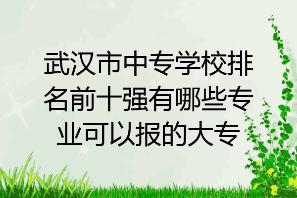 武汉市中专学校排名前十强有哪些专业可以报的大专