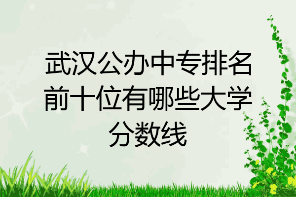 武汉公办中专排名前十位有哪些大学分数线