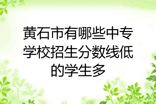 黄石市有哪些中专学校招生分数线低的学生多