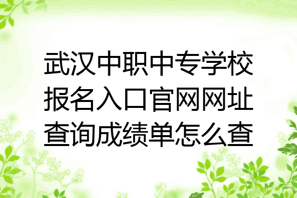 武汉中职中专学校报名入口官网网址查询成绩单怎么查
