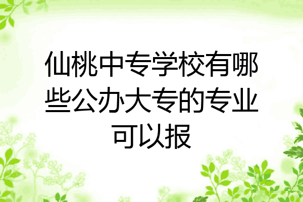 仙桃中专学校有哪些公办大专的专业可以报