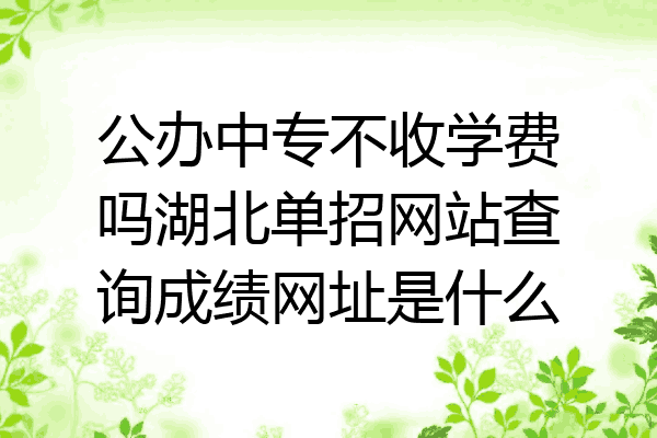 公办中专不收学费吗湖北单招网站查询成绩网址是什么