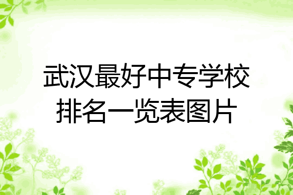 武汉最好中专学校排名一览表图片