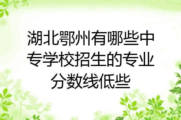 湖北鄂州有哪些中专学校招生的专业分数线低些