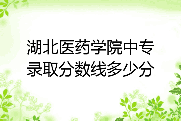 湖北医药学院中专录取分数线多少分