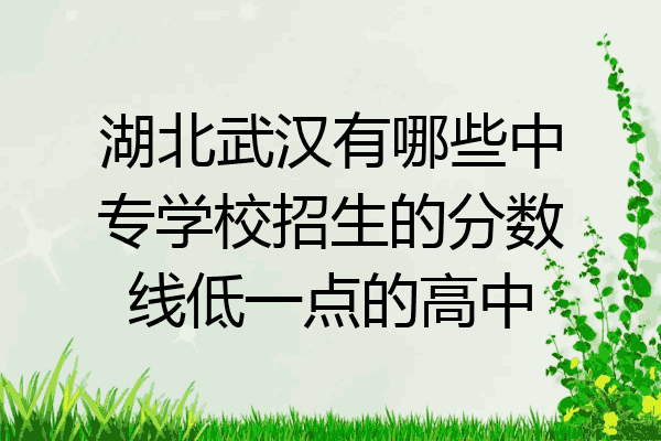 湖北武汉有哪些中专学校招生的分数线低一点的高中