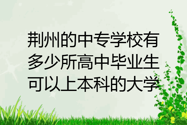 荆州的中专学校有多少所高中毕业生可以上本科的大学
