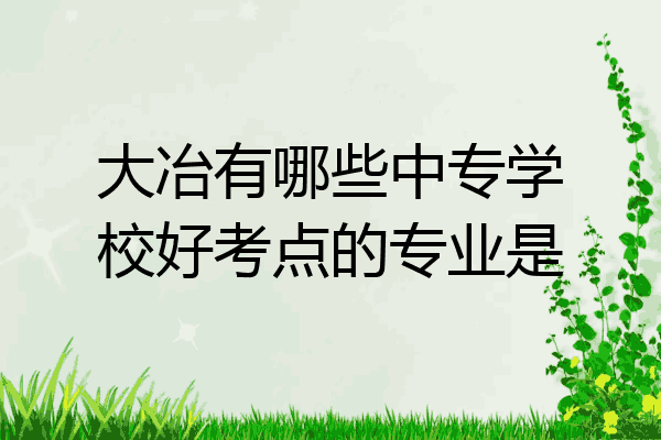 大冶有哪些中专学校好考点的专业是