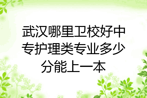 武汉哪里卫校好中专护理类专业多少分能上一本