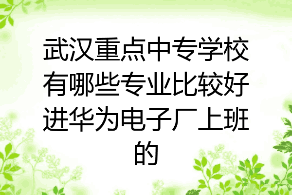 武汉重点中专学校有哪些专业比较好进华为电子厂上班的
