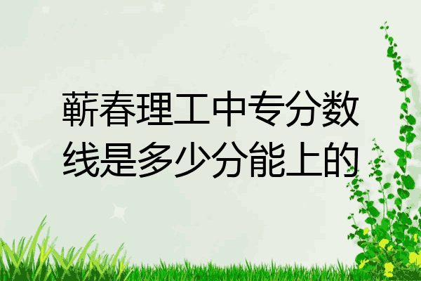 蕲春理工中专分数线是多少分能上的