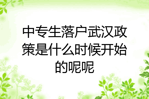 中专生落户武汉政策是什么时候开始的呢呢