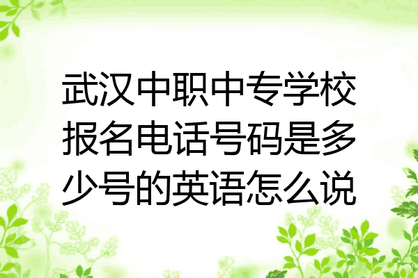 武汉中职中专学校报名电话号码是多少号的英语怎么说