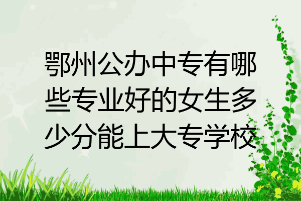 鄂州公办中专有哪些专业好的女生多少分能上大专学校