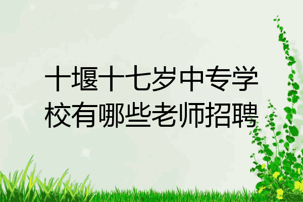 十堰十七岁中专学校有哪些老师招聘