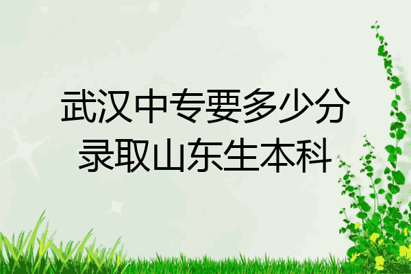 武汉中专要多少分录取山东生本科