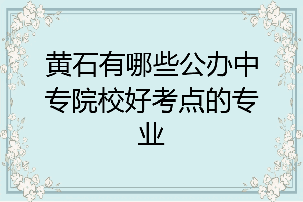 黄石有哪些公办中专院校好考点的专业