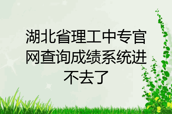 湖北省理工中专官网查询成绩系统进不去了