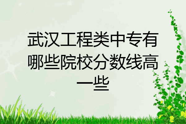 武汉工程类中专有哪些院校分数线高一些