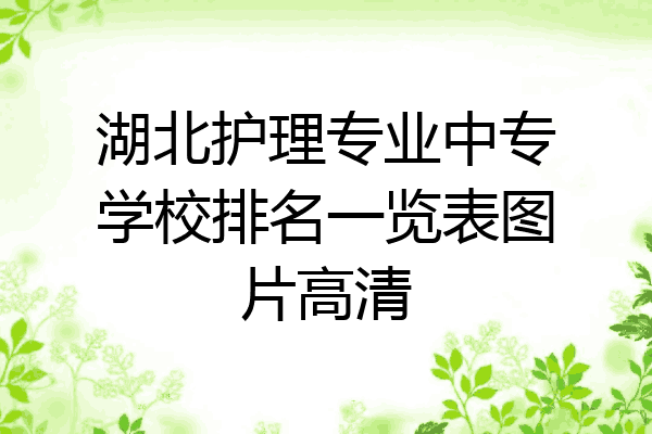 湖北护理专业中专学校排名一览表图片高清