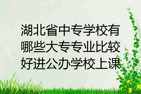 湖北省中专学校有哪些大专专业比较好进公办学校上课