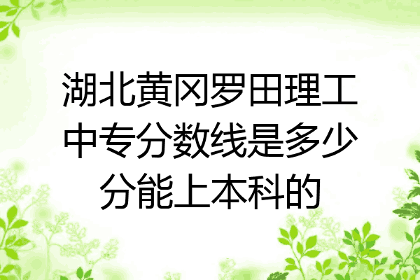 湖北黄冈罗田理工中专分数线是多少分能上本科的