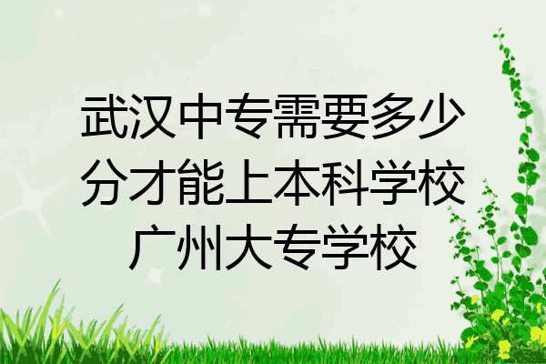 武汉中专需要多少分才能上本科学校广州大专学校